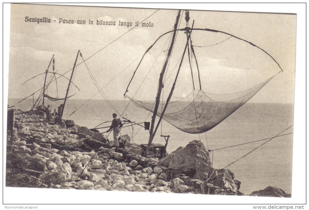 Senigallia Pesca Con La Bilancia Lungo Il Molo  Non Viaggiata   COD.C.1904 - Senigallia