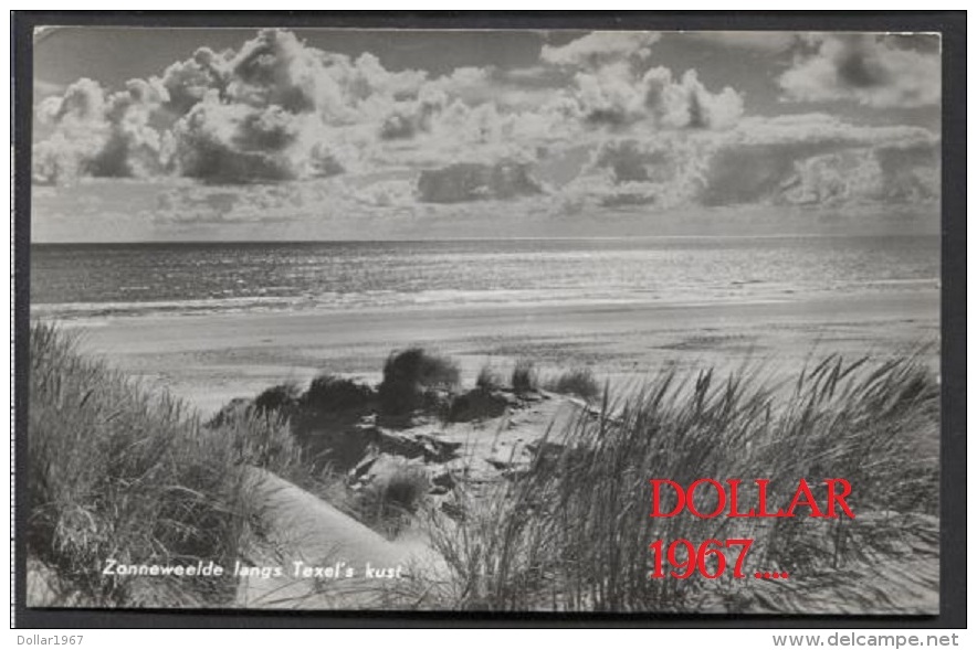 Texel , Zonneweelde Langs Texel;s Kust  1960   -See The 2  Scans For Condition. ( Originalscan !!! ) - Texel