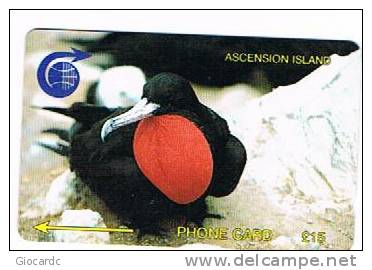 ASCENSION ISLAND   -  GPT   -  UCCELLI:  FRIGATE BIRD    COD. 2CASC   TIR. 1831       - USATA° (USE  -  RIF. 990D) - Ascension