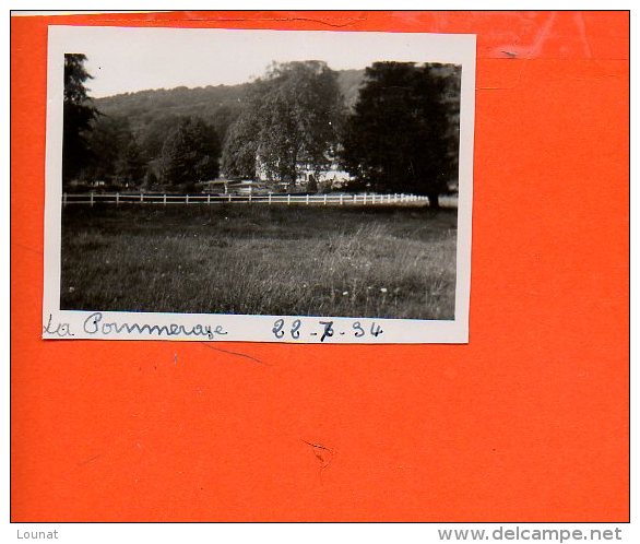 49 La POMMERAYE - Année 1934 Photo De Dimensions 6.7 X 4.8 Cm - Autres & Non Classés