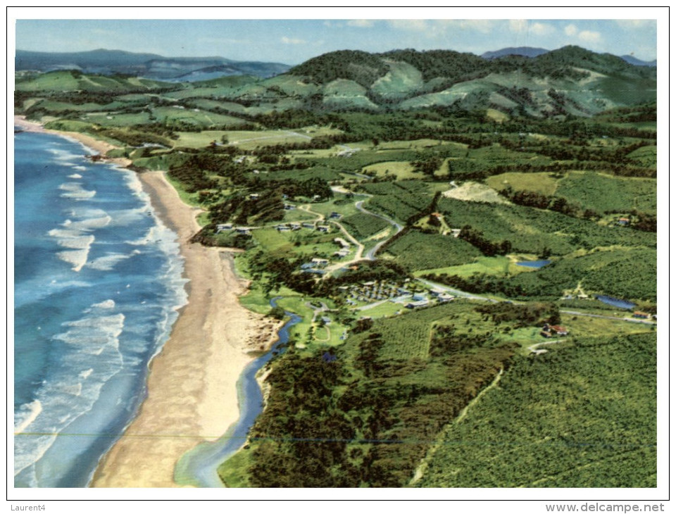 (644) Australia - NSW - Coffs Harbour Banana Plantation - Coffs Harbour