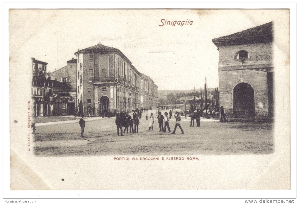 Senigallia Portici Via Erclani E Albergo Roma  Non Viaggiata   COD.C.1911 - Senigallia