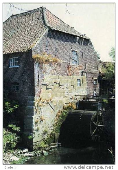 MEERBEKE Bij Ninove (O.Vl.) - Molen/moulin - Historische Opname Van De Fonteintjesmolen In 1979. - Ninove