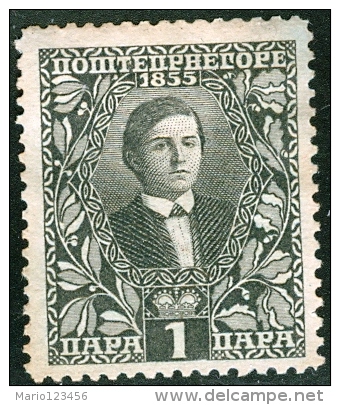 MONTENEGRO, 1910, COMMEMORATIVO, RE NICHOLAS I, FRANCOBOLLO NUOVO (MNG), Mi 74,   Scott 87,   Yt 88 - Montenegro