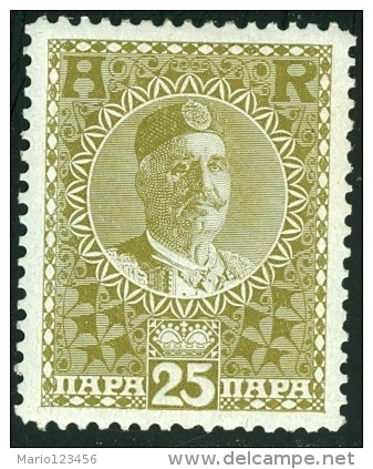 MONTENEGRO, 1913, COMMEMORATIVO, RE NICHOLAS I, FRANCOBOLLO NUOVO (MNH**), Michel 98, Scott H5 - Montenegro