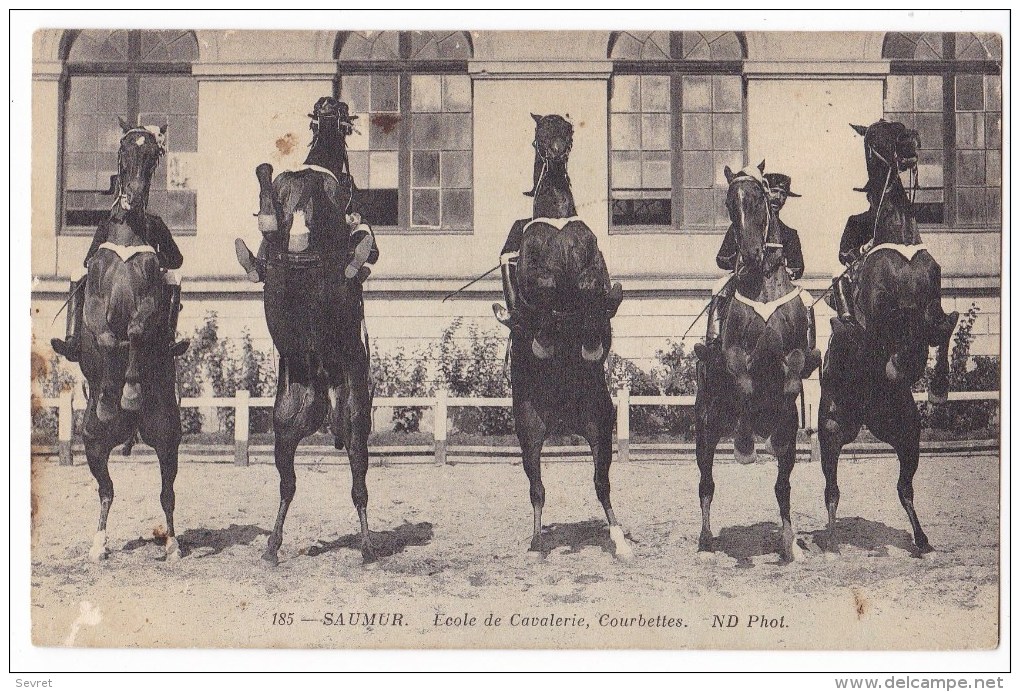 SAUMUR  - Ecole  De Cavalerie - Courbettes. - Saumur