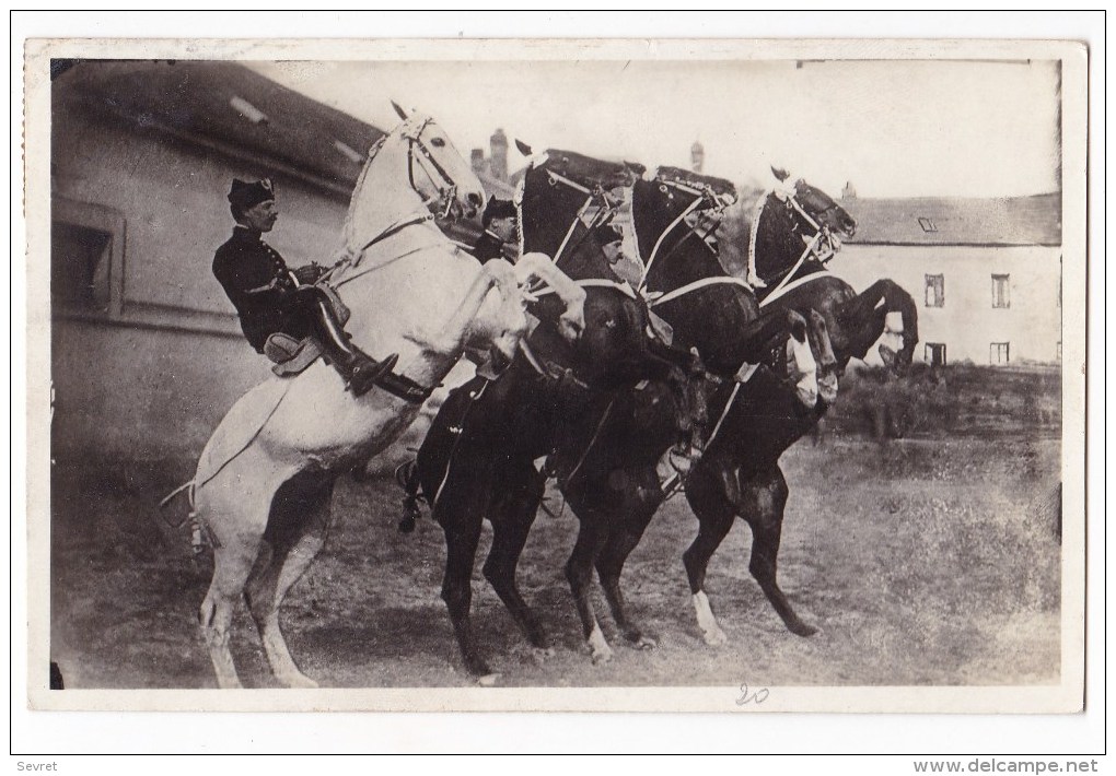 SAUMUR  - Ecole  De Cavalerie - Courbettes.CPSM 9x14. - Saumur