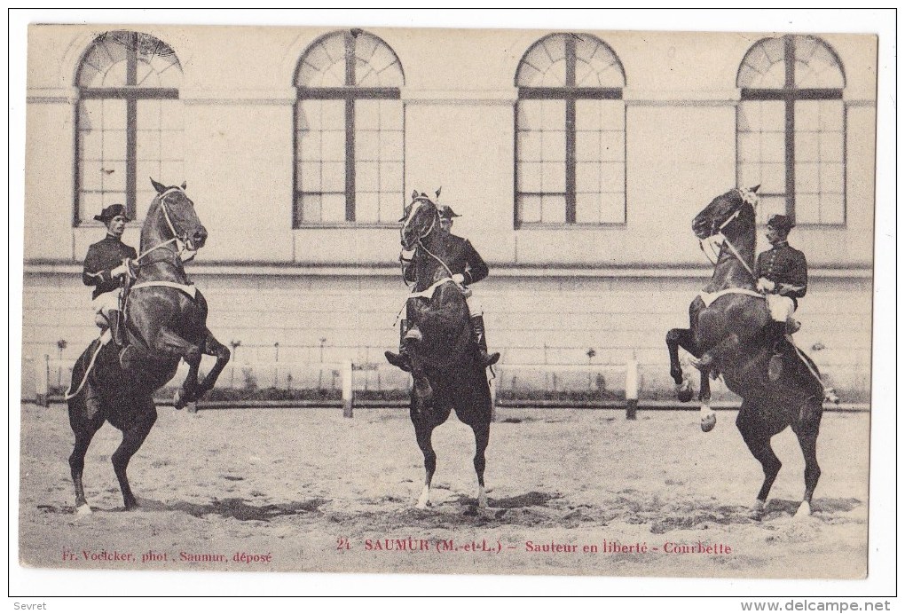 SAUMUR  - Sauteur En Liberté    Courbette. - Saumur