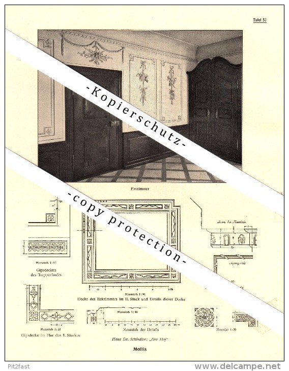 Photographien / Ansichten , 1919 , Mollis , Haus Dr. Schindler , Prospekt , Fotos , Architektur !!! - Mollis