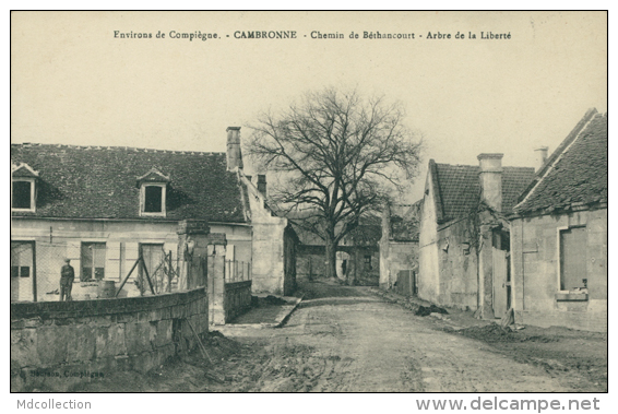 60 CAMBRONNE LES CLERMONT / Chemin De Béthancourt, Arbre De La Liberté / - Autres & Non Classés