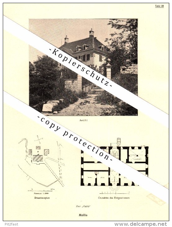 Photographien  / Ansichten , 1919 , Mollis , Haus Haltli , Prospekt , Fotos , Architektur !!! - Mollis