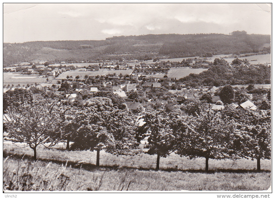 AK Bielatal - Sächsische Schweiz (19146) - Rosenthal-Bielatal