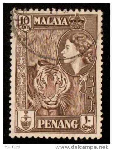 MALAYA Penang - Scott #50 Queen Elizabeth II (*) / Used Stamp - Penang