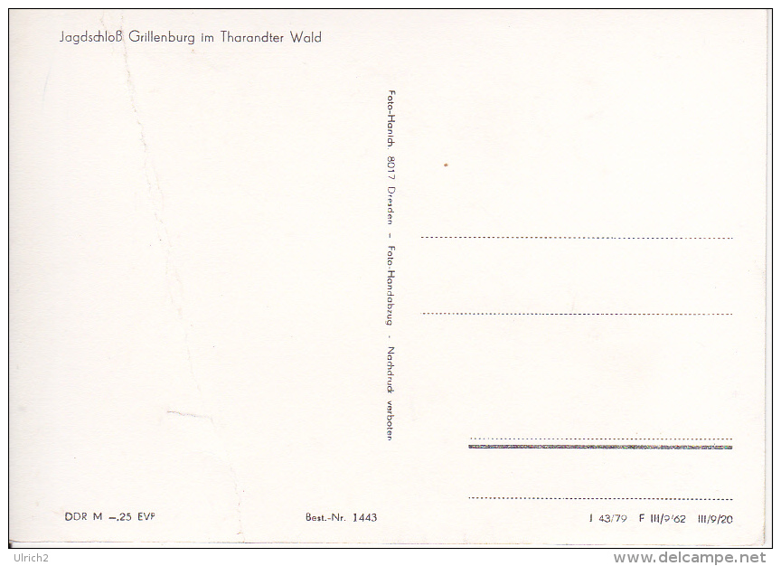 AK Jagdschloß Grillenburg Im Tharandter Wald (19149) - Tharandt