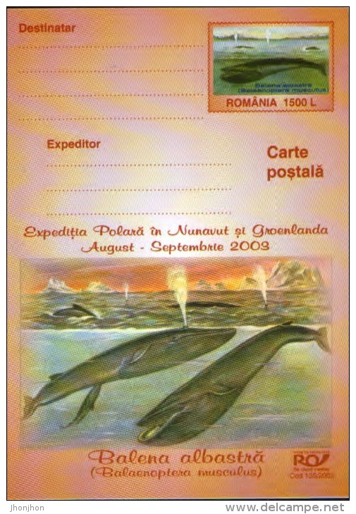 Romania -stationery Postcard 2003 Unused - Polar Expedition In Nunavut And Greenland ;blue Whale (balaenoptera Musculus) - Spedizioni Artiche