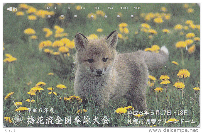 Télécarte Japon / 430-9538 - Animal - RENARD -  FOX Japan Phonecard / 105 U  - FUCHS Telefonkarte - VOS - 100 - Japan