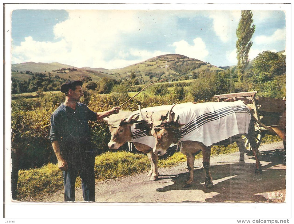 ATTELAGE BASQUE - Attelages