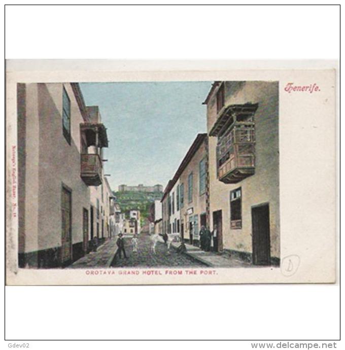 SCDTTPA1249CPA-LFTD391TACA.Tarjeta Postal DE TENERIFE.,animales,CABALLO,balcones Tipicos.GRAN HOTEL TAORO EN LA OROTAVA - Caballos