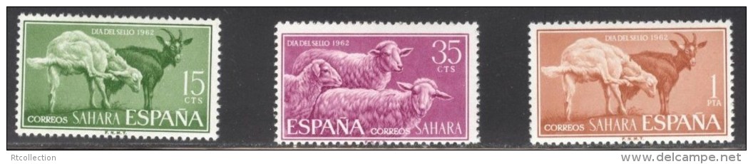 Spanish Sahara 1962 Stamp Day Goats Sheep Animals Mammals Animal Nature Farm Stamps MNH SC 129-131 Michel 243-245 - Farm