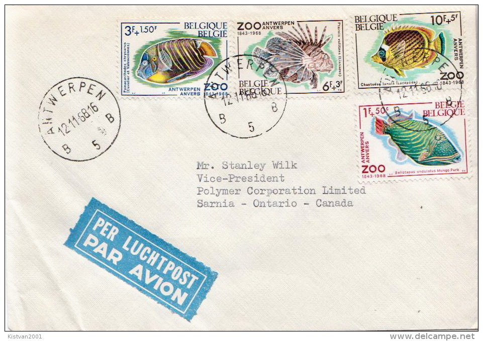 Postal History Cover: Belgium Ifishes Set On Cover - Poissons