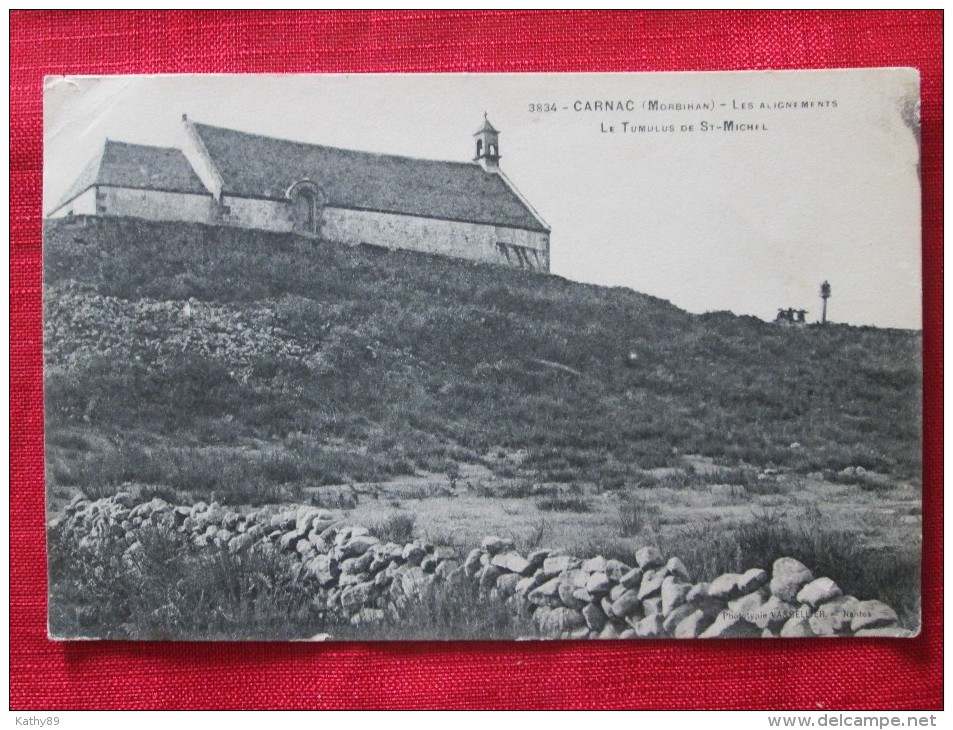 Carnac (morbihan) Le Tumulus De ST Michel Les Alignements - Carnac