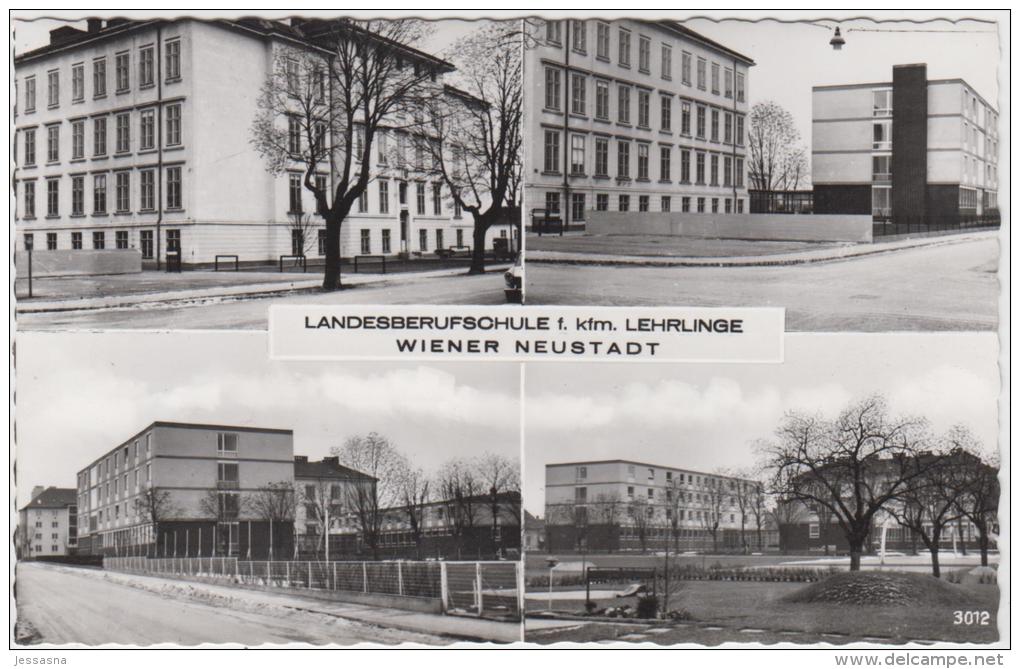 AK - WR.-NEUSTADT -  Landesberufsschule F. Kfm. Lehrlinge 60er - Wiener Neustadt