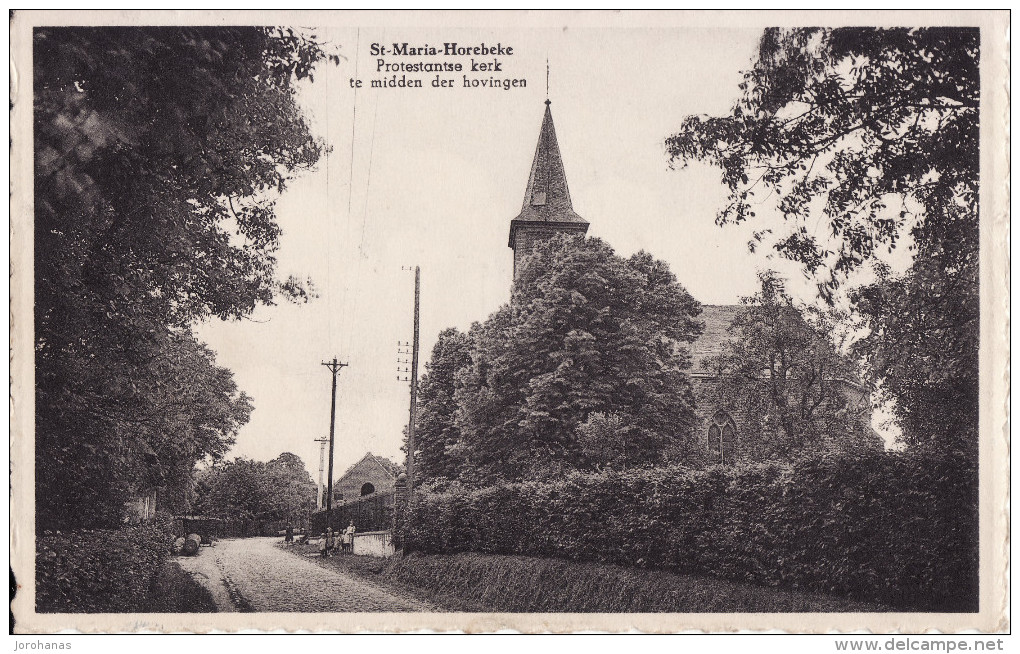 St. Maria - Horebeke - Protestantse Kerk Te Midden Der Hovingen 1955 - Horebeke