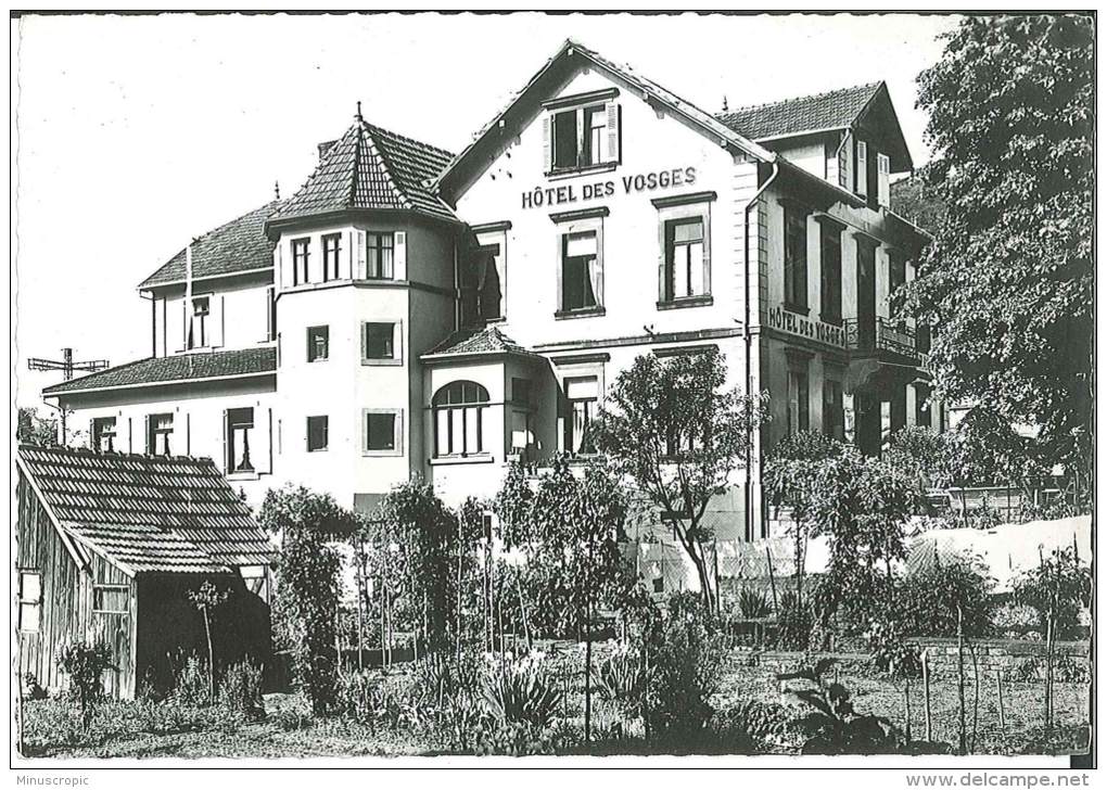 CPSM 57 - Lutzelbourg - Hôtel Des Vosges - Sonstige & Ohne Zuordnung
