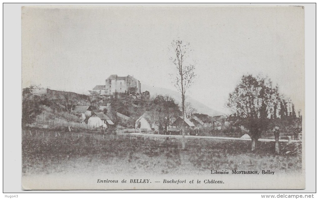 ENVIRONS DE BELLEY - ROCHEFORT ET LE CHATEAU - CPA VOYAGEE - Belley