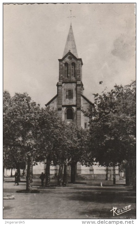 CPSM MEDEA (Algérie) - L'église - Medea