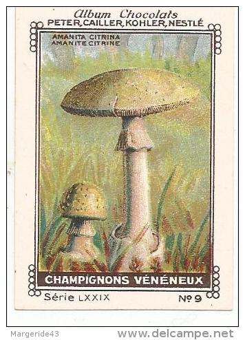 CHROMOS NESTLE & Cie - CHAMPIGNONS - AMANITE CITRINE. - Nestlé