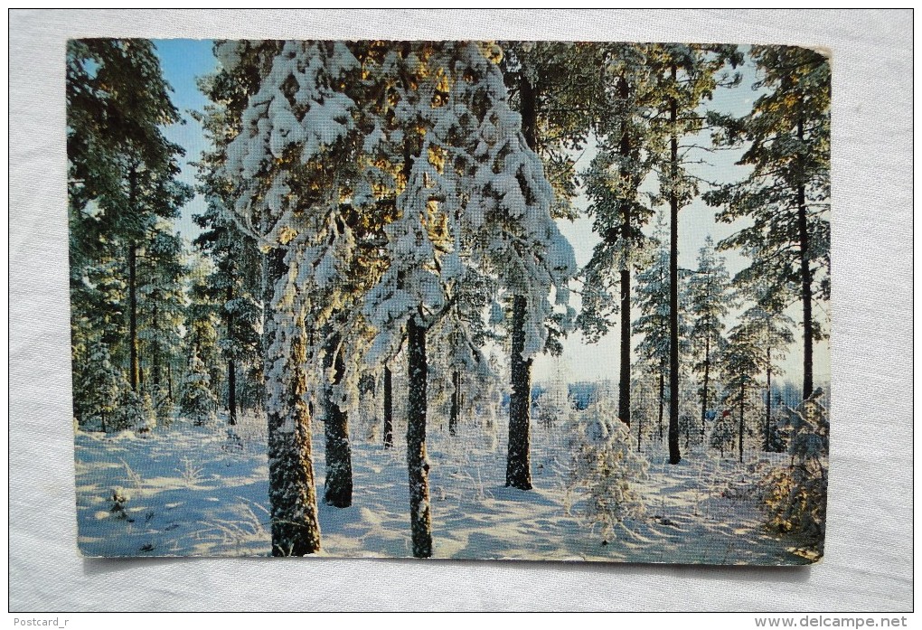 Finland Winter Landscape 1979  A 55 - Finnland