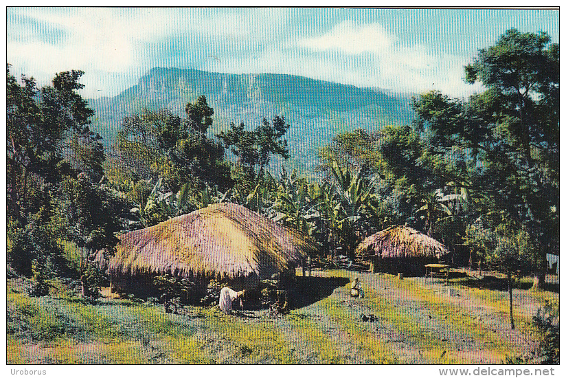 UGANDA - Rural Scene 1963 - Uganda