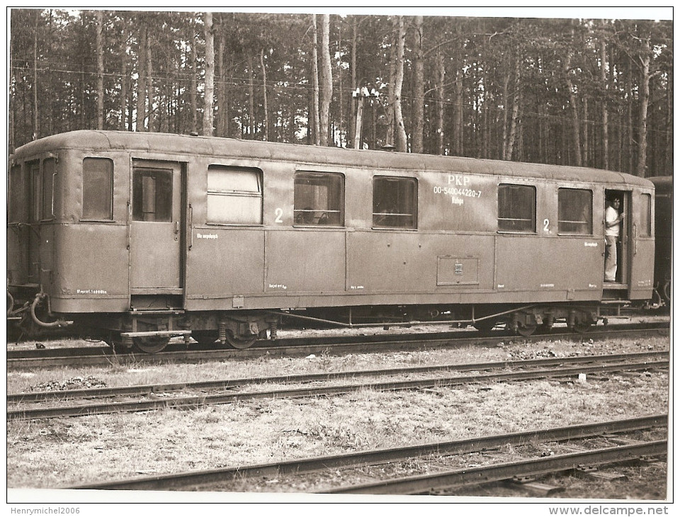 Pologne - Poland - Kurozwecz La Foret Wagon Train - Pologne