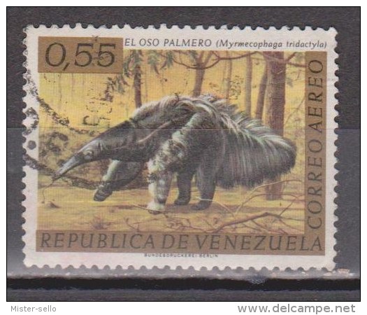 VENEZUELA. FAUNA - OSO HORMIGUERO. USADO - USED. - Venezuela