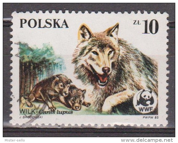 POLONIA 1985 WWF. FAUNA - LOBOS. USADO - USED. - Gebruikt