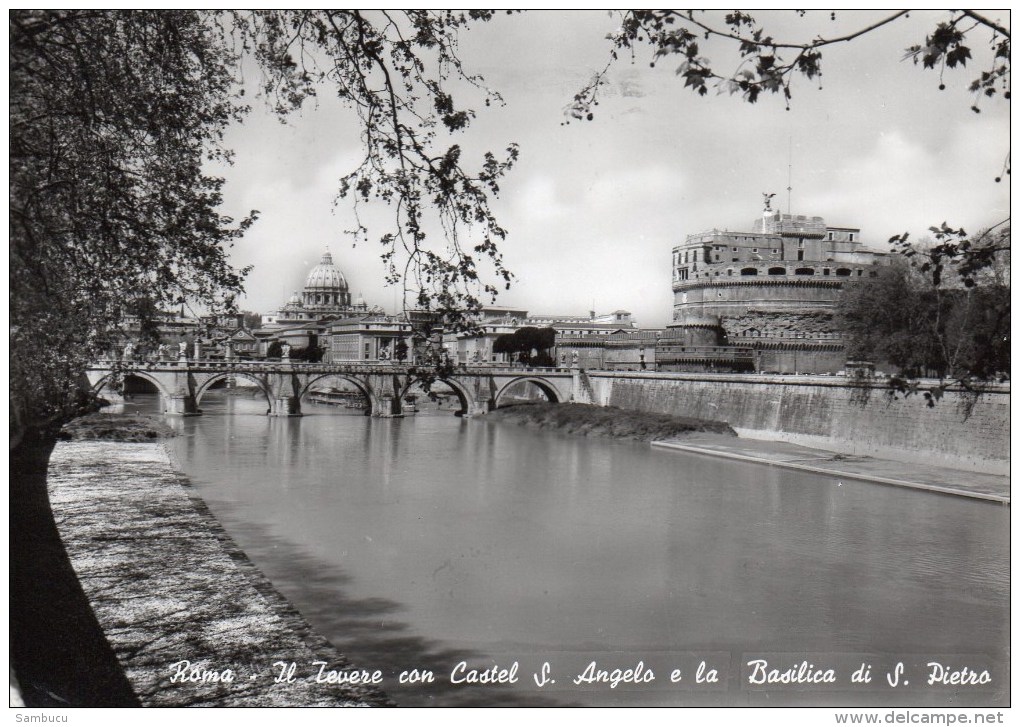 Roma - Il Tevere Con Castel S. Angelo E La Basilica Di S. Pietro 1960 - Bruggen