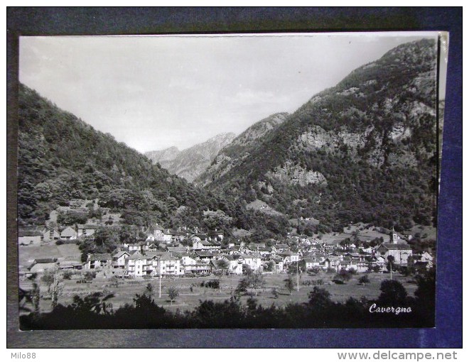 SVIZZERA -TICINO -CAVERGNO -F.G. LOTTO N°461 - Cavergno