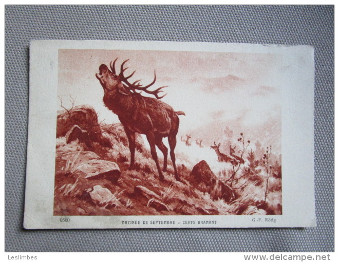 G.F. Rotig. Matinee De Septembre, Cerfs Bramant. Braun & Cie. 0560. - Peintures & Tableaux