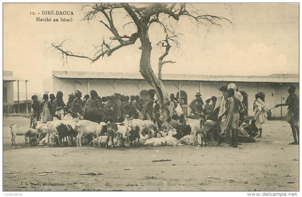 DIRE DAOUA MARCHE AU BETAIL - Ethiopie