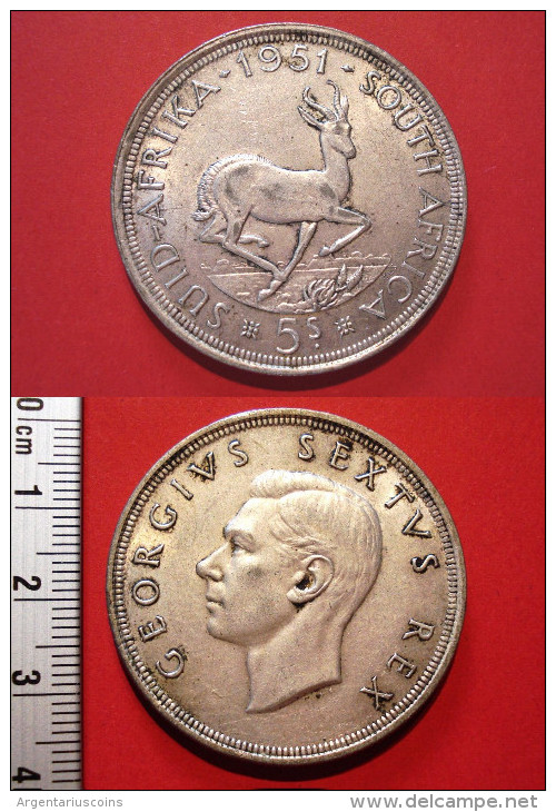 SOUTH AFRICA. 5 SHILLINGS 1951. GEORGE VI. ARGENT. AFRIQUE DU SUD - Sud Africa