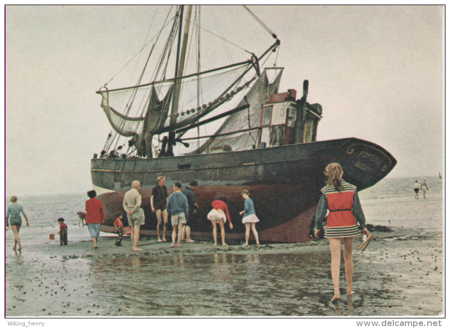 Büsum - Krabbenfischer Fortuna - Buesum