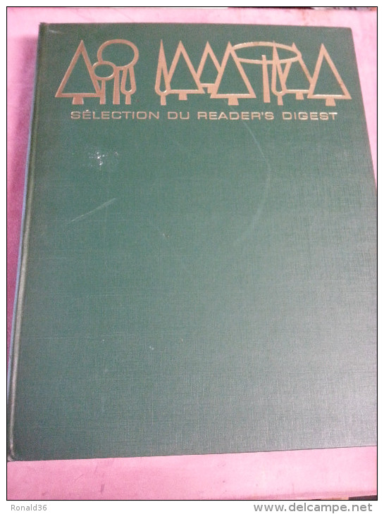 Livre LA FORET Le Monde Des Arbres Jungle Africaine Amazonie Forêt Francaise Normande Essences Forestière Mythes Métiers - Nature