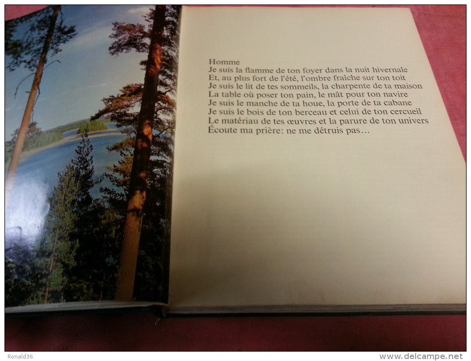 Livre LA FORET Le Monde Des Arbres Jungle Africaine Amazonie Forêt Francaise Normande Essences Forestière Mythes Métiers - Nature