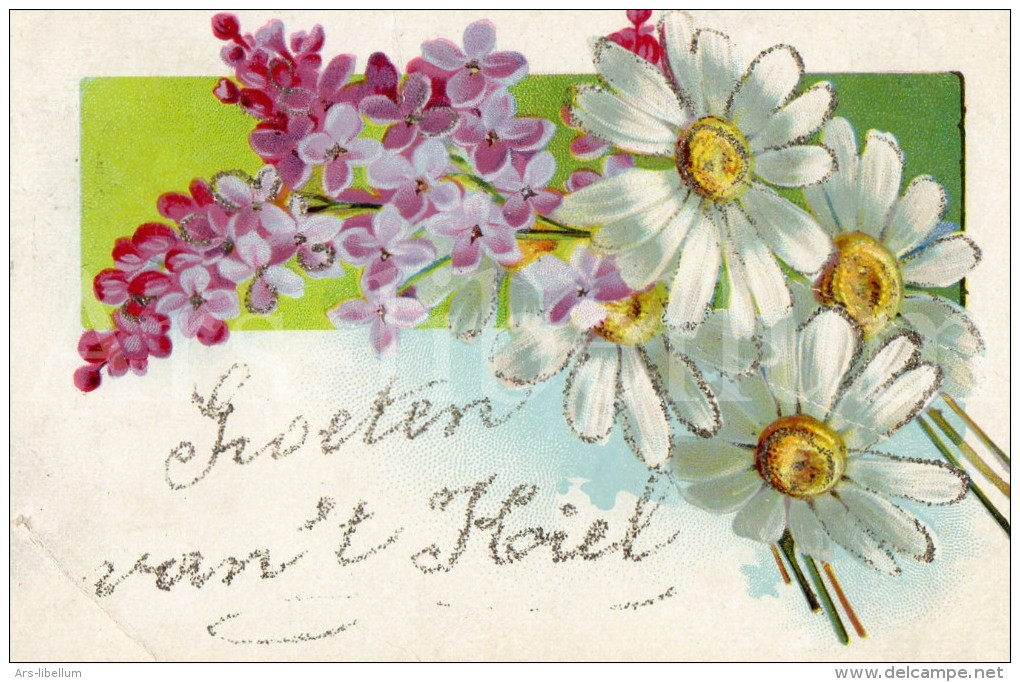 Postkaart / Post Card / Flowers / Bloemen / Fleurs / Groeten Van ´t Koiel (?) / Hoicl (?) / Hoiel (?) / 1906 - Souvenir De...