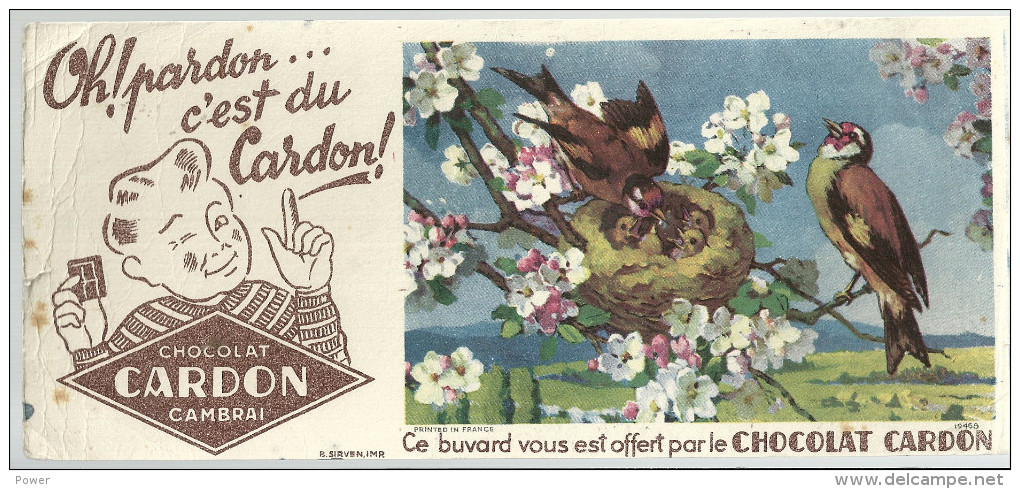 BUVARD  CAMBRAI   Chocolat CARDON   Oh Pardon ... C'est Du CARDON  Nid D'oiseaux - Chocolade En Cacao