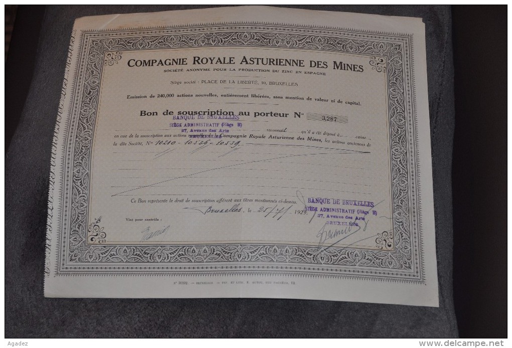 Bon De Souscription"Cie Royale Asturienne Des Mines"Zinc En Espagne Bruxelles 1923 - Bergbau