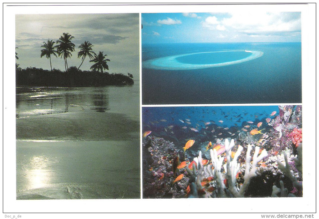 Maldiven - Maldives - Views Underwater -  Nice Stamp - Maldiven