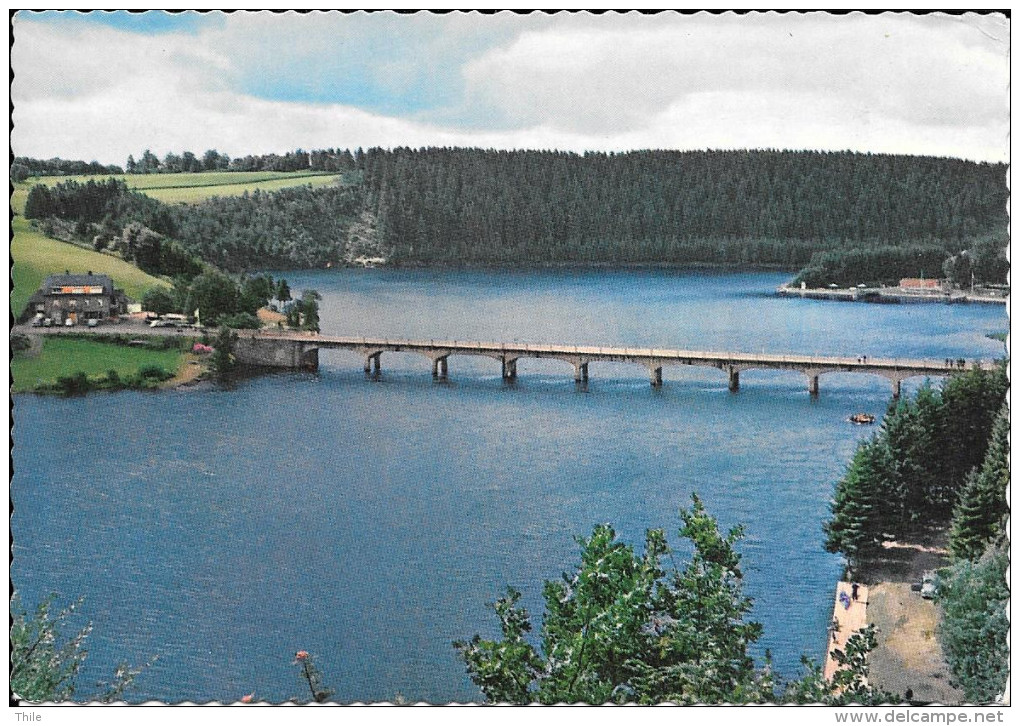 ROBERTVILLE - Pont De Waterloo Et Lac - Waimes - Weismes