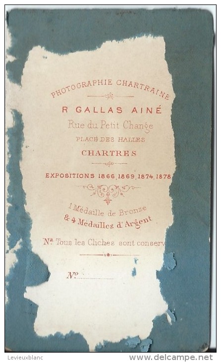 Photo Montée Sur Carton /Fillette Avec Panier/GALLAS Ainé/Chartres/Vers 1885   PHOTN43 - Anciennes (Av. 1900)